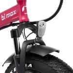 BiMax-