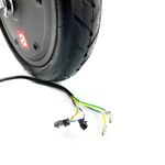 Motore-36V-350W-c-pneumatico